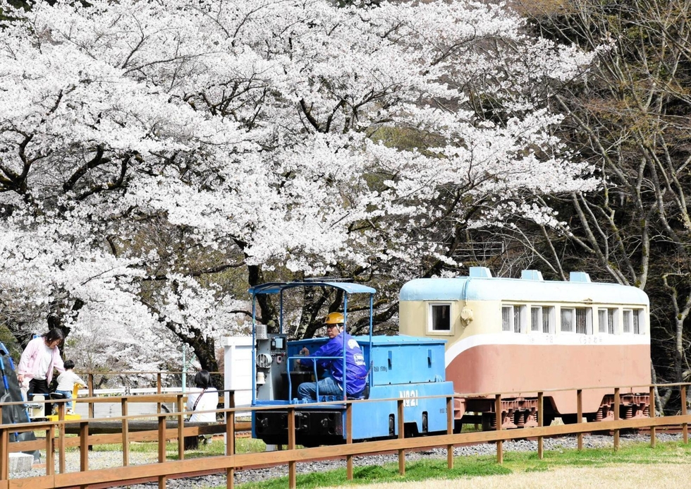 一円電車運転再開【１】ａメイン