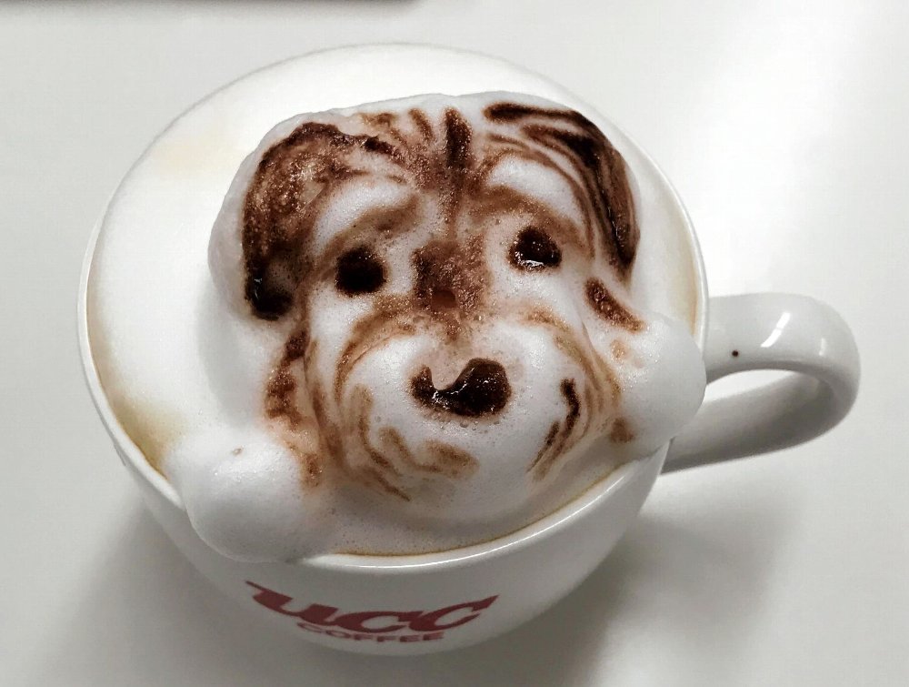 ｕｃｃコーヒー博物館 開館３０周年記念イベント イベントを探す 兵庫おでかけプラス 神戸新聞next