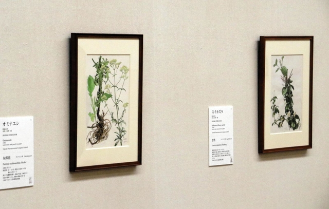 秘蔵の小磯良平-武田薬品コレクションから | イベントを探す 秘蔵の小磯良平-武田薬品コレクションから | イベントを探す