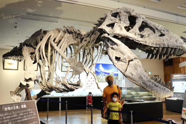 1億年前の石 恐竜 化石 ティラノサウルス ティラノサウルスの「黒い