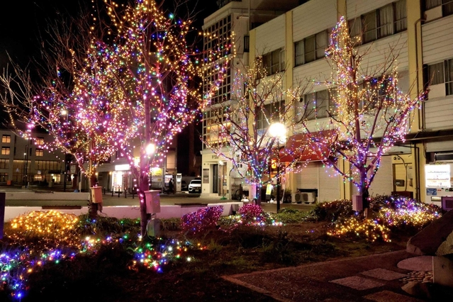 春に紅葉？ 新緑の里山、モミジが彩り 赤、黄、白…360種 丹波の