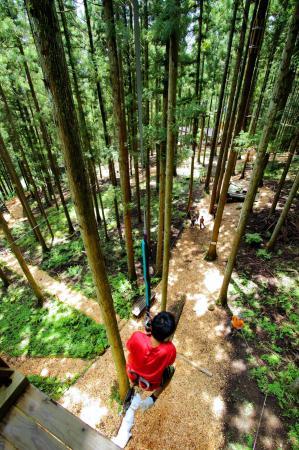 たじま三昧 ６ フォレストアドベンチャー おでかけトピック 兵庫おでかけプラス 神戸新聞next