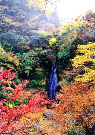 紅葉色づく但馬で渓流散策 グルメ 日帰りツアー おでかけトピック 兵庫おでかけプラス 神戸新聞next