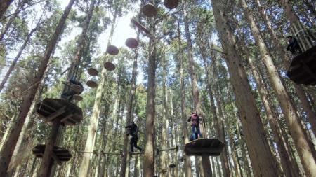 六甲山上でスリル満点大冒険 フォレストアドベンチャー 県内４カ所目 おでかけトピック 兵庫おでかけプラス 神戸新聞next