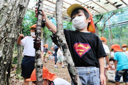 かぶとむしど む 今年も開園 市川の野外活動施設 おでかけトピック 兵庫おでかけプラス 神戸新聞next かぶとむしど む 今年も開園 市川の野外活動施設 おでかけトピック 兵庫おでかけプラス 神戸新聞next