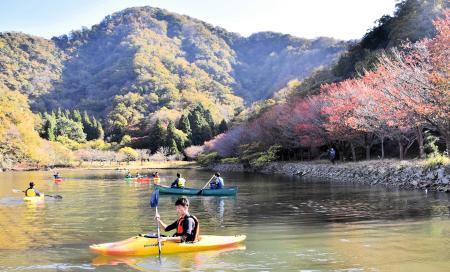 いつものとは違う紅葉を満喫 豊岡・円山川公苑でカヌー・カヤック体験