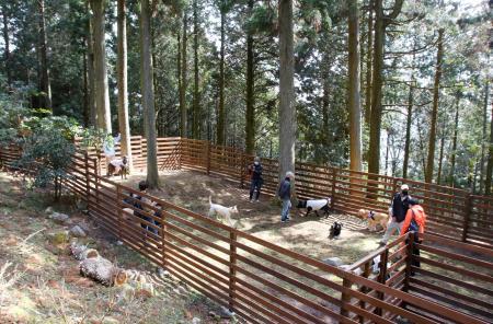 加東 播州清水寺にドッグラン施設 ４月３日オープン おでかけトピック 兵庫おでかけプラス 神戸新聞next