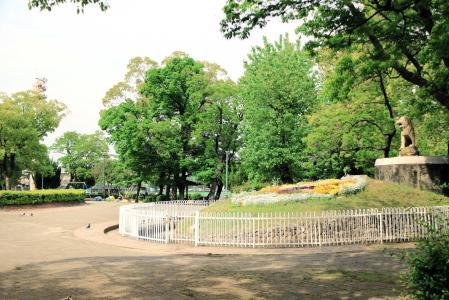 泥団子ツルツルピカピカに！ 近所の公園、発想一つで何倍も楽しく 尼崎