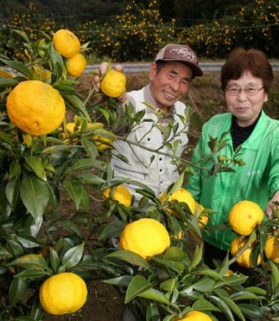 安富ゆず工房10周年 記念催しでユズ無料配布へ おでかけトピック 兵庫おでかけプラス 神戸新聞next 安富ゆず工房10周年 記念催しでユズ無料配布へ おでかけトピック 兵庫おでかけプラス 神戸新聞next