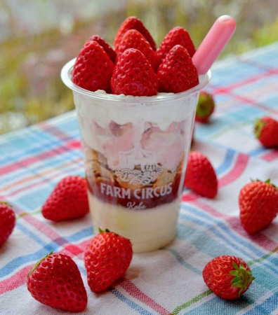 神戸特産イチゴのスイーツ大集合 ２３日から神戸の 道の駅 おでかけトピック 兵庫おでかけプラス 神戸新聞next