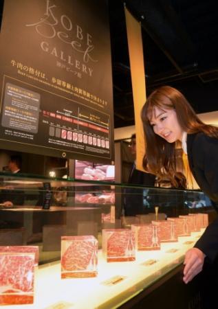 但馬牛の魅力ギュッと詰まった 神戸ビーフ館 24日オープン おでかけトピック 兵庫おでかけプラス 神戸新聞next 但馬牛の魅力ギュッと詰まった 神戸ビーフ館 24日オープン おでかけトピック 兵庫おでかけプラス 神戸新聞next