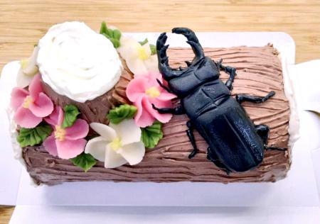 昆虫好きの子どもたちに甘い夏の思い出 オオクワガタがケーキに 川西の