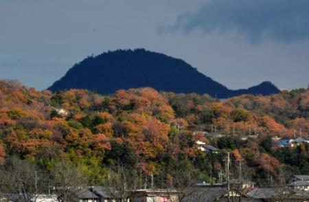 紅葉の海 泳ぐ巨大 クジラ 三田 おでかけトピック 兵庫おでかけプラス 神戸新聞next