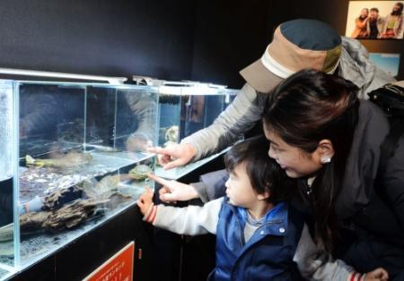 スマスイ登場映画１１日公開 ロケにちなみ企画展 おでかけトピック 兵庫おでかけプラス 神戸新聞next