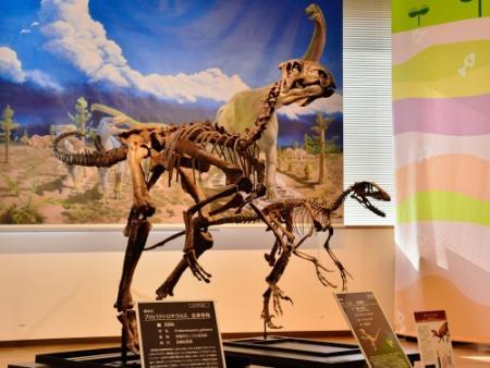 鳥脚類の全身レプリカ登場 丹波「ちーたんの館」 | おでかけトピック