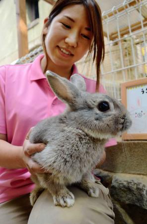 君の名は小川 王子動物園のウサギ おでかけトピック 兵庫おでかけプラス 神戸新聞next