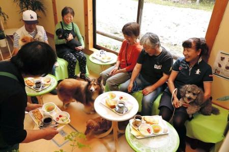 愛犬とお茶でひと休み 道の駅ちくさにドッグカフェ おでかけトピック 兵庫おでかけプラス 神戸新聞next