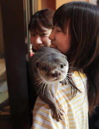 小さな生き物 触るとキュン 専門店やカフェ人気 おでかけトピック 兵庫おでかけプラス 神戸新聞next