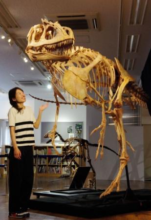 圧巻！ 巨大化石やリアル恐竜ロボ 丹波で特別展 | おでかけトピック