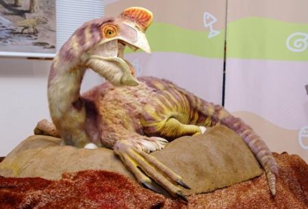 圧巻！ 巨大化石やリアル恐竜ロボ 丹波で特別展 | おでかけトピック