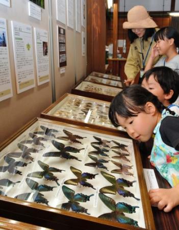 子どもに昆虫の魅力を 標本や手塚治虫のイラスト展示 おでかけトピック 兵庫おでかけプラス 神戸新聞next 子どもに昆虫の魅力を 標本や手塚治虫のイラスト展示 おでかけトピック 兵庫おでかけプラス 神戸新聞next