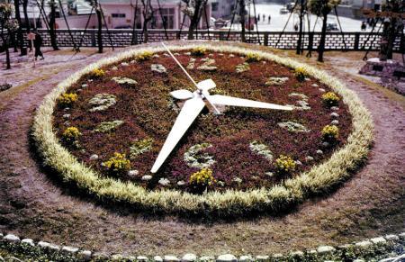 国内初の神戸花時計 来春500回目の植え替えへ おでかけトピック 兵庫おでかけプラス 神戸新聞next 国内初の神戸花時計 来春500回目の植え替えへ おでかけトピック 兵庫おでかけプラス 神戸新聞next