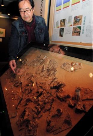 １６００万年前の 魚化石 展示 三田 ひとはく おでかけトピック 兵庫おでかけプラス 神戸新聞next