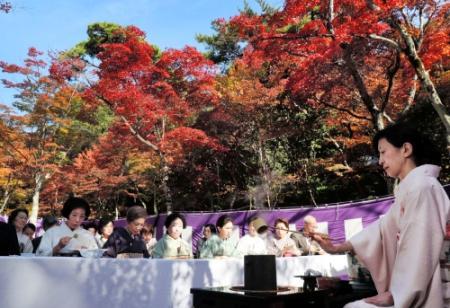 紅葉めで太閤しのび大茶会 神戸 有馬温泉 おでかけトピック 兵庫おでかけプラス 神戸新聞next 紅葉めで太閤しのび大茶会 神戸 有馬温泉 おでかけトピック 兵庫おでかけプラス 神戸新聞next