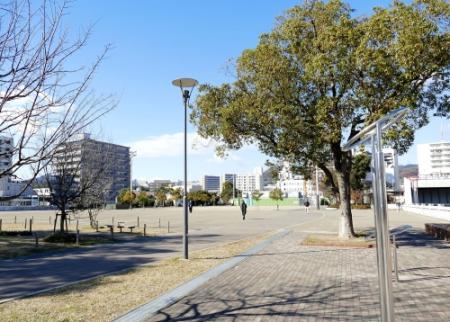 身近な公園再編へ神戸市が計画案 市民の意見募集 おでかけトピック 兵庫おでかけプラス 神戸新聞next
