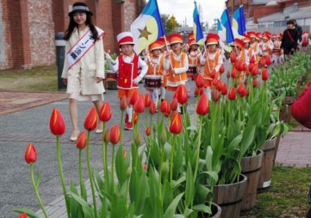 冬咲きチューリップ９千本ずらり 洲本市民広場 おでかけトピック 兵庫おでかけプラス 神戸新聞next