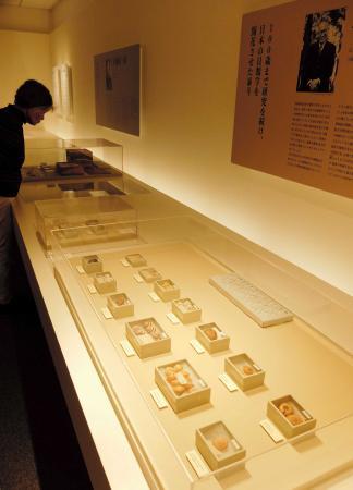 貝に人生捧げた兵庫の“貝人”たち 大阪で企画展 | おでかけ