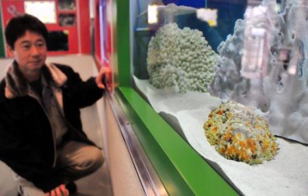 鋭い歯や猛毒 危険な魚など紹介 姫路市立水族館 おでかけトピック 兵庫おでかけプラス 神戸新聞next 鋭い歯や猛毒 危険な魚など紹介 姫路市立水族館 おでかけトピック 兵庫おでかけプラス 神戸新聞next