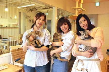 保護猫カフェで新たな飼い主探し 高砂 殺処分ゼロ目指す おでかけトピック 兵庫おでかけプラス 神戸新聞next 保護猫カフェで新たな飼い主探し 高砂 殺処分ゼロ目指す おでかけトピック 兵庫おでかけプラス 神戸新聞next