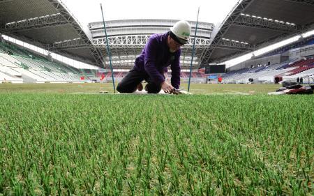 全国初 ハイブリッド芝が完成 ノエスタ神戸 おでかけトピック 兵庫おでかけプラス 神戸新聞next 全国初 ハイブリッド芝が完成 ノエスタ神戸 おでかけトピック 兵庫おでかけプラス 神戸新聞next