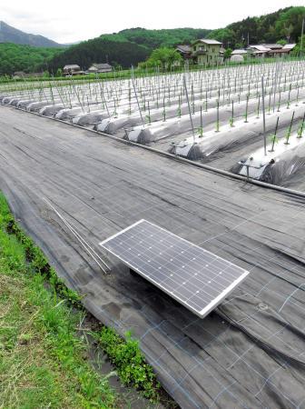 黒豆づくしのランチも 地エネ 農食ツアー おでかけトピック 兵庫おでかけプラス 神戸新聞next
