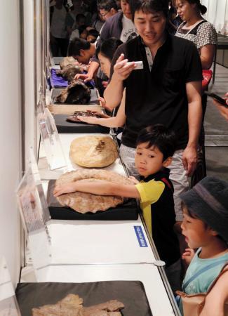 大恐竜博 動きリアルで迫力満点 神戸で開幕 ２０１８夏休み おでかけトピック 兵庫おでかけプラス 神戸新聞next