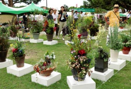 アイデア満載 秋の街角飾る個性豊かな園芸作品 明石各地でガーデンショー おでかけトピック 兵庫おでかけプラス 神戸新聞next