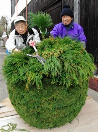 直径1m超、規格外の巨大杉玉お披露目へ 丹波 | おでかけトピック