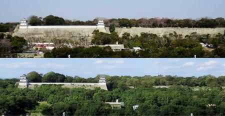 明石城の石垣くっきり 築城400年で樹木伐採 | おでかけ