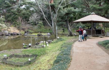 いなみ野万葉の森開園３０周年 記念事業で散策道など整備 おでかけトピック 兵庫おでかけプラス 神戸新聞next