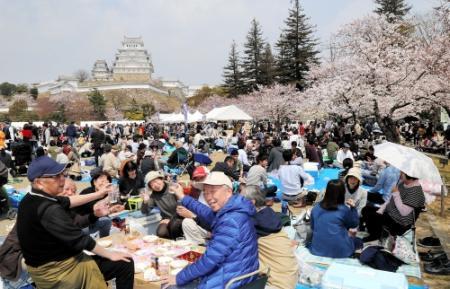 白鷺城と満開の桜が競演 ６万人来場 姫路城観桜会 おでかけトピック 兵庫おでかけプラス 神戸新聞next