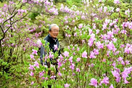 新緑に映える紫色の花 ツツジ満開 三木の２公園 おでかけトピック 兵庫おでかけプラス 神戸新聞next