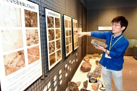 国内外の鉱物や岩石 個性的な300点ずらり 三田【夏休み2019