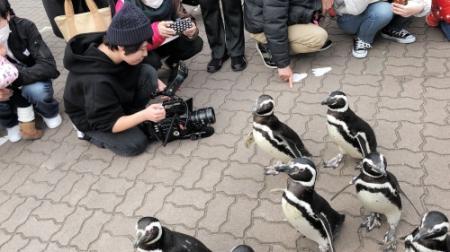 スマスイ舞台の映画完成 試写会で園長が感謝の言葉 夏休み２０１９ おでかけトピック 兵庫おでかけプラス 神戸新聞next