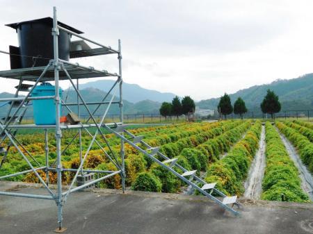 太陽光発電学び 出石そば味わう 地エネ 農食ツアー おでかけトピック 兵庫おでかけプラス 神戸新聞next