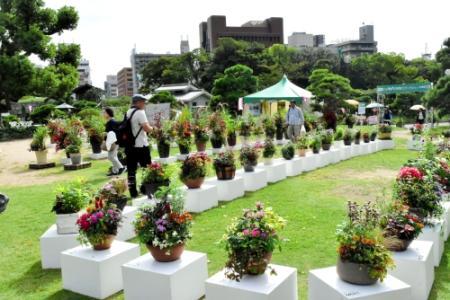寄せ植えや箱庭470作品 明石公園でガーデンショー | おでかけ