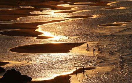 冬限定の絶景 朝焼けで黄金に輝く砂浜 たつの おでかけトピック 兵庫おでかけプラス 神戸新聞next