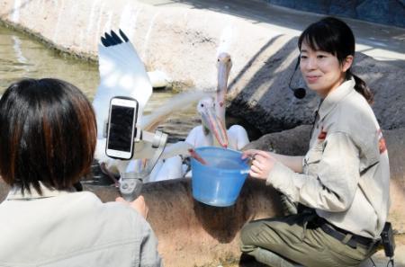 インスタで元気な動物の動画配信 休園中の神戸どうぶつ王国 おでかけトピック 兵庫おでかけプラス 神戸新聞next