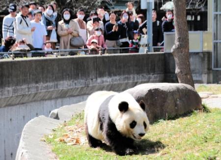 王子動物園が開園69周年 70周年に向けた記念ロゴ決定 おでかけトピック 兵庫おでかけプラス 神戸新聞next 王子動物園が開園69周年 70周年に向けた記念ロゴ決定 おでかけトピック 兵庫おでかけプラス 神戸新聞next