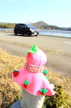 もも　お地蔵さんのマント　6枚 お地蔵さんに“イチゴマント” 近隣住民が手作り 三田 | おでかけ